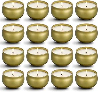 qinxiang Scented Candles Gifts Set,16 Pack Natural Soy Wax Travel Tin Jar Candles for 2.5 OZ Aromatherapy Candles for Family Gatherings, Festive Candles