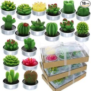 GIFTEXPRESS 18 Pcs Succulent Cactus Candles No Repeat Style, Delicate Smokeless Scented Tealight Candles for Home Décor, SPA, Wedding, Valentine’s Day, Birthday Gift, Anniversary Celebration